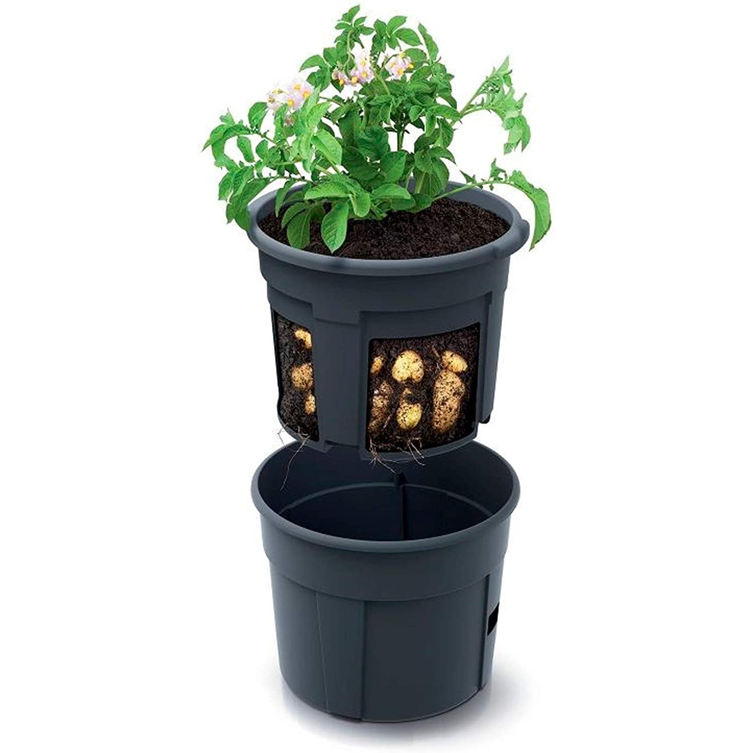 Prosperplast Potato Planter - 28l