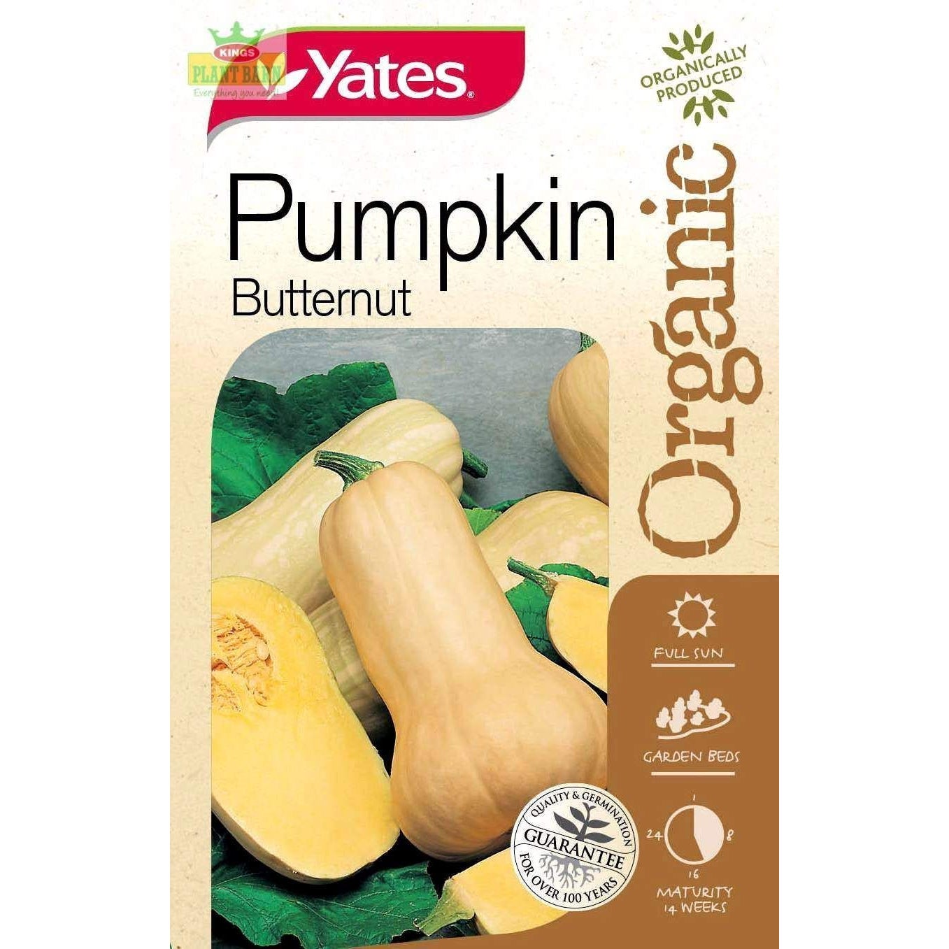 Yates Pumpkin Butternut Organic