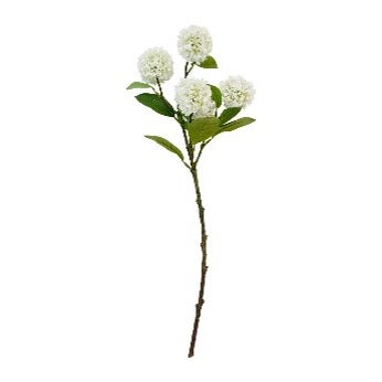 Roseum Snowball White 53cm