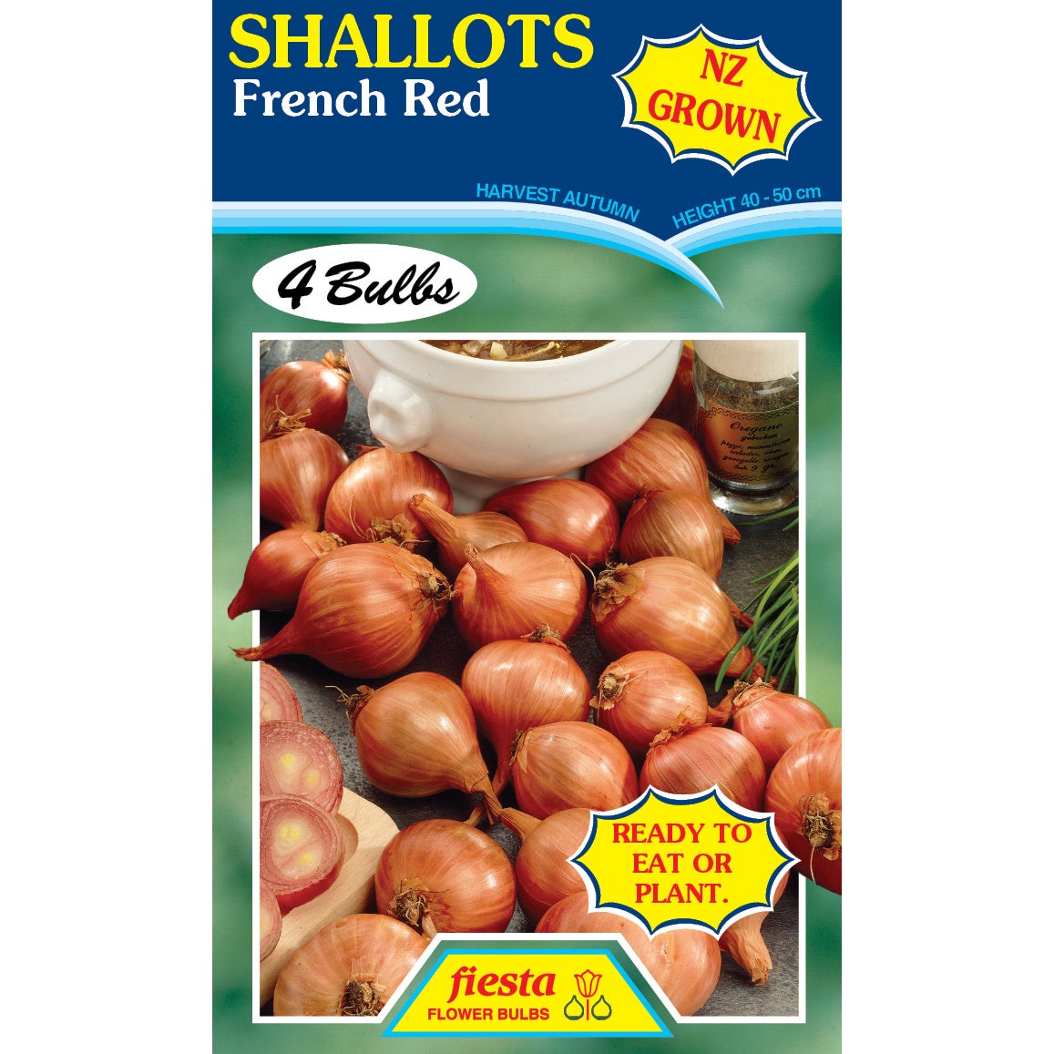 Shallot - Pk4 - Pack Of 4