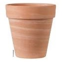 Tall Vasi White Striped 22cm