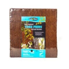 Tree Fern Board - Large
