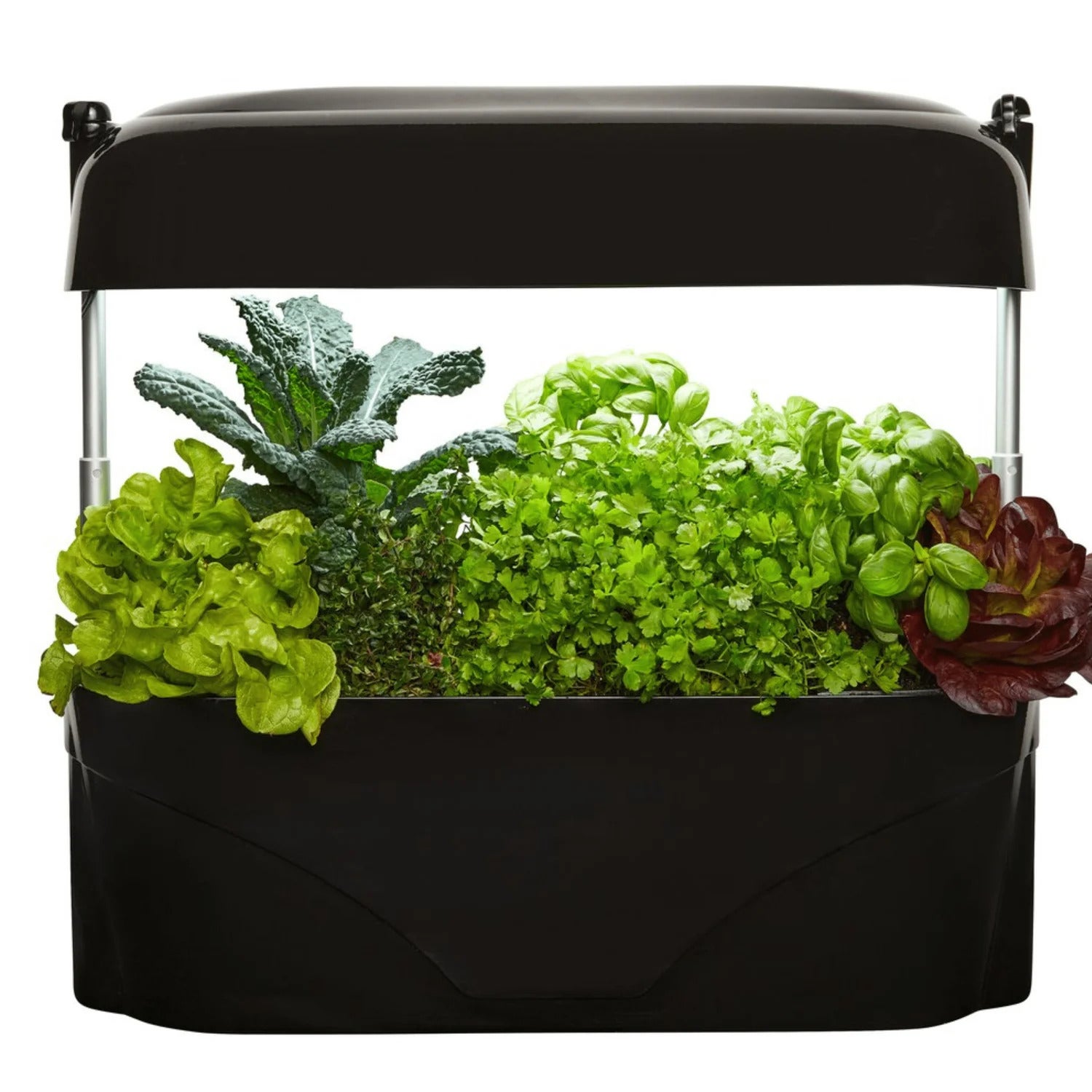 Vegepod Kitchen Garden - Black