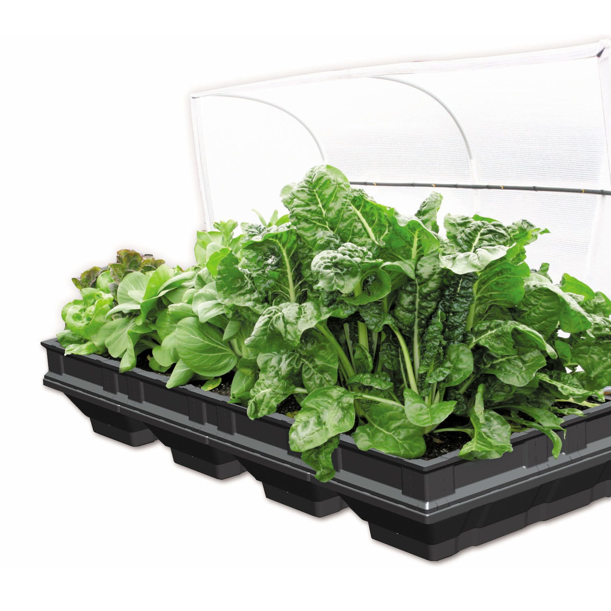 Vegepod Large