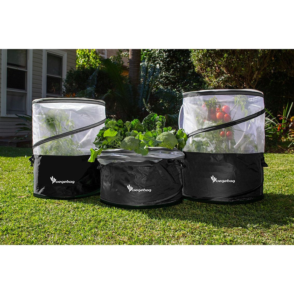 Vegepod Vegebag