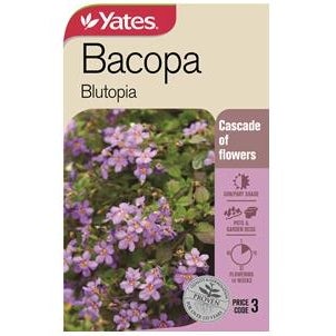 Yates Bacopa 'blutopia'