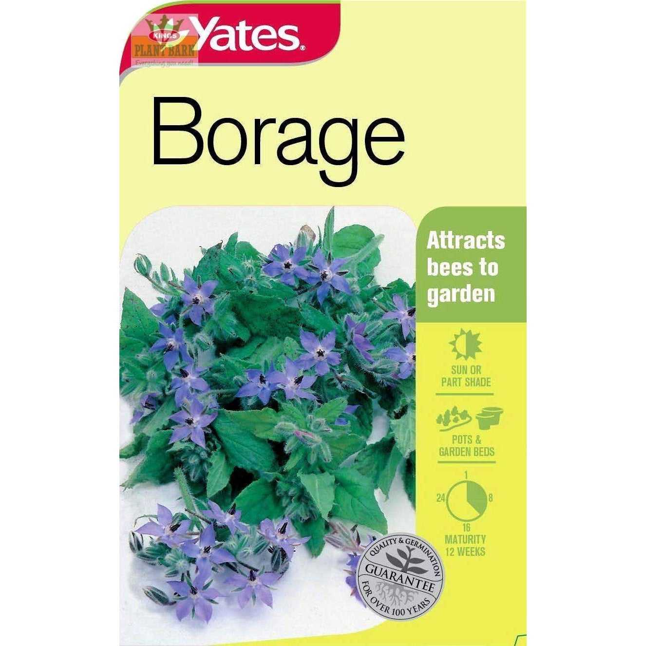 Yates Borage