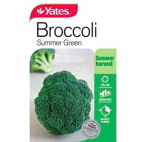 Yates Broccoli Summer Green