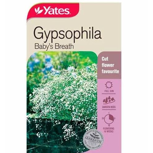 Yates Gypsophila Babys Breath