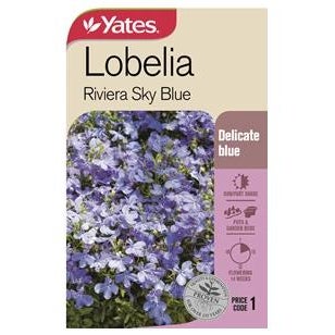 Yates Lobelia 'riviera Sky Blue'