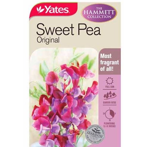 Yates Sweet Pea Original Species