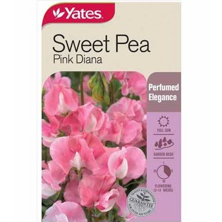 Yates Sweet Pea Pink Diana