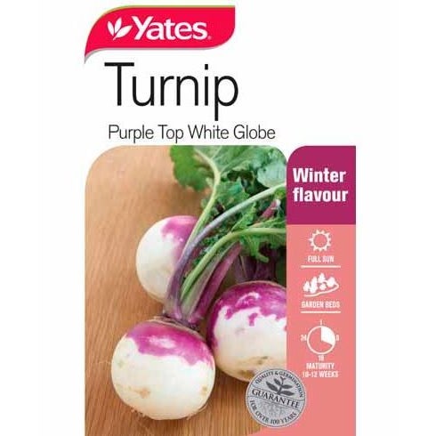 Yates Turnip Purple Top White Globe