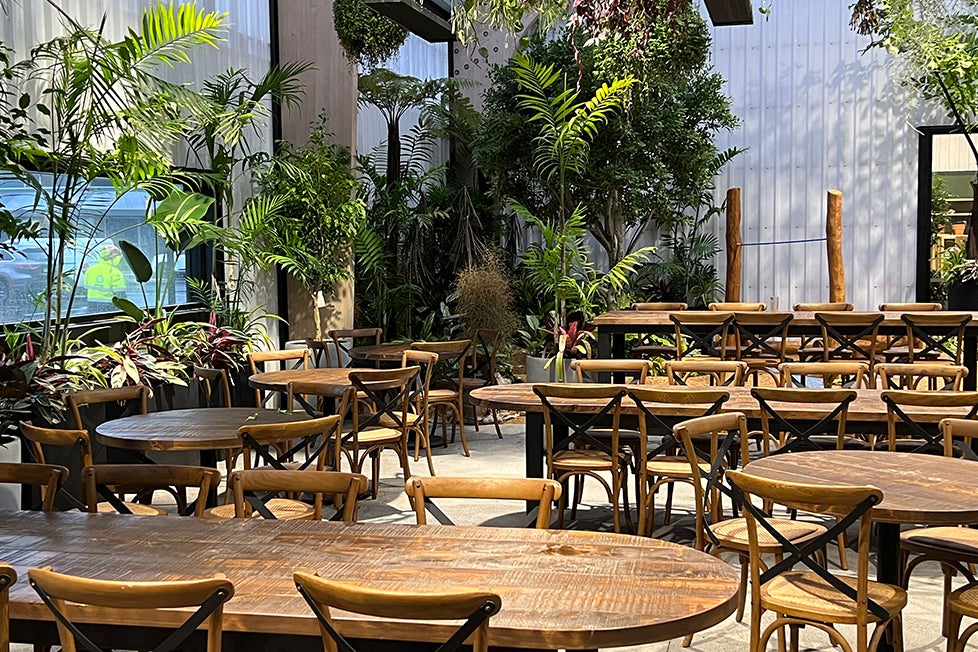 Kings Plant Barn NZ Garden Centres, Shop Online, Cafes